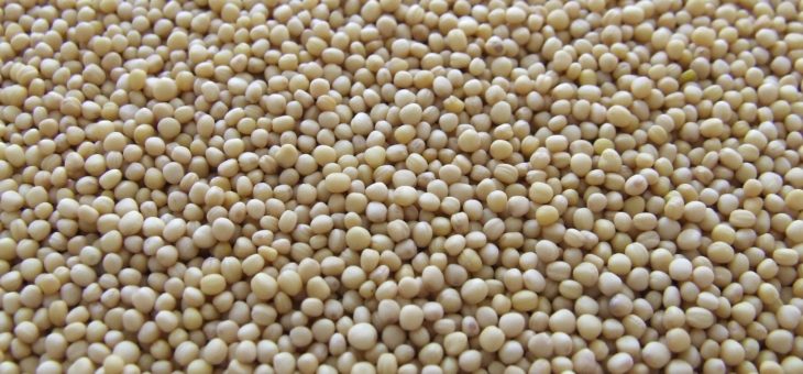 Quais as vantagens do uso de fertilizantes granulados?